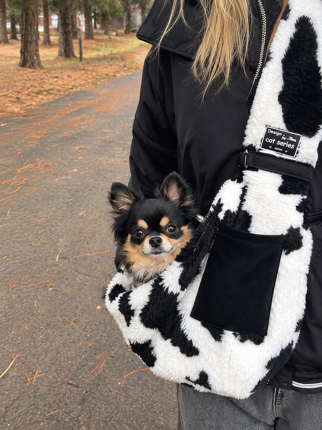 A small dog peeking out of the cow-print sling beside its front pocket